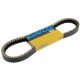 CINGHIA DI TRASMISSIONE DAYCO  kevlar Honda SH 300